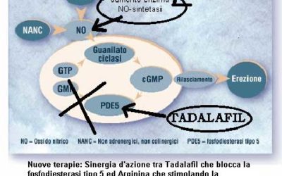 Terapia farmacologica combinata dell’impotenza: una vera e propria cura