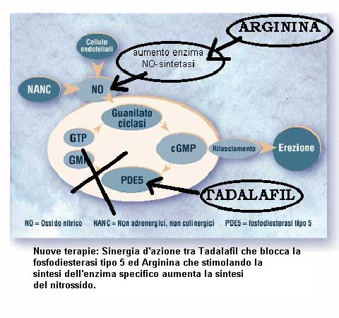 Terapia farmacologica combinata dell’impotenza: una vera e propria cura